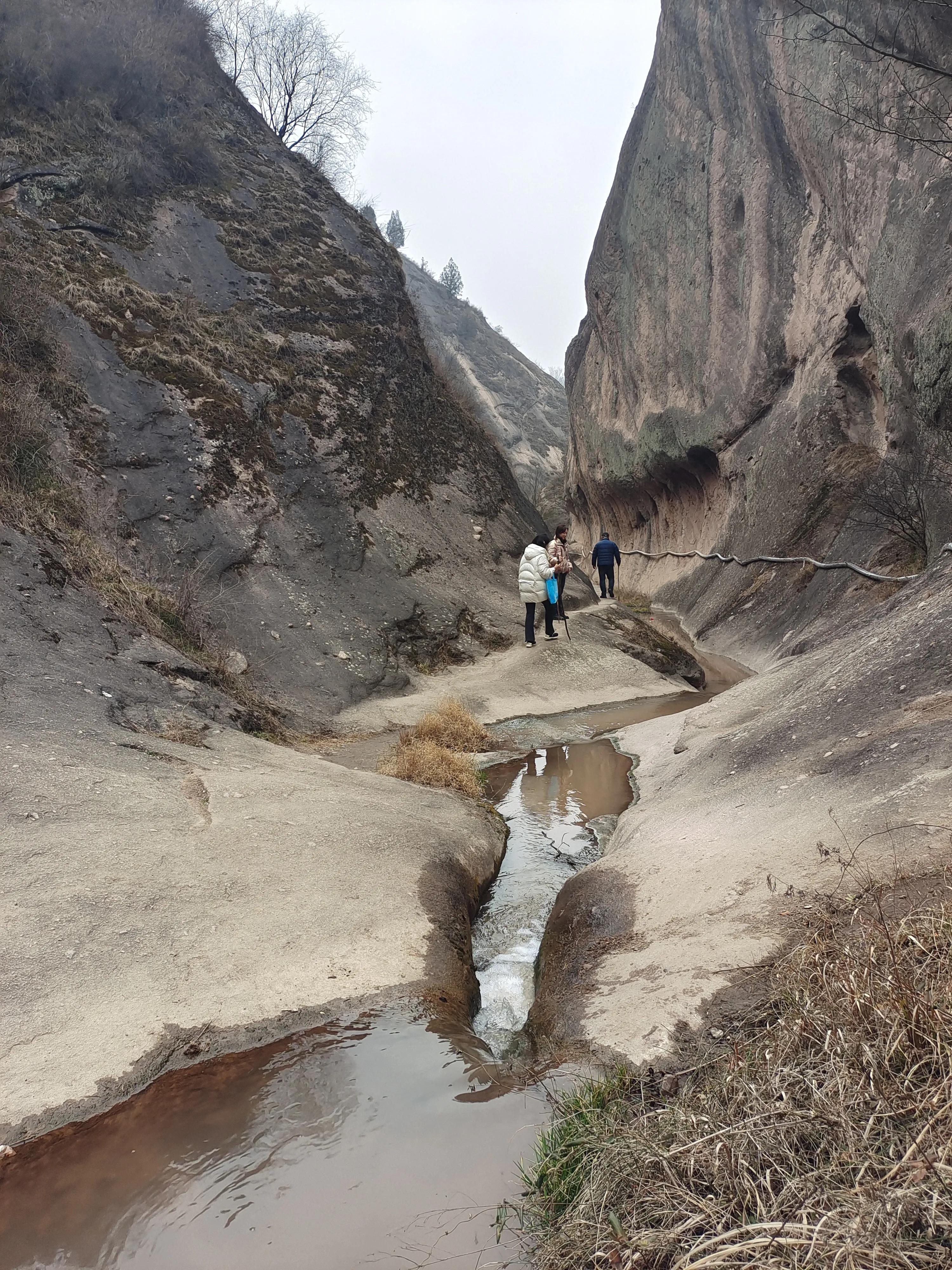 尼康调出油润感,尼康油润点的镜头