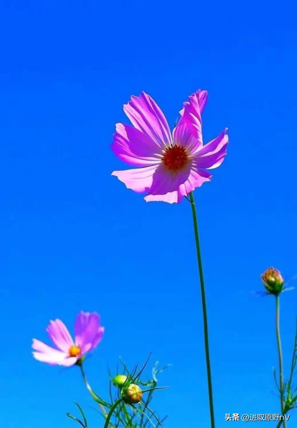 鎰熸偀浜虹敓鍗佹偀,浜虹敓鍗佹偀鎰熻Е棰囨繁