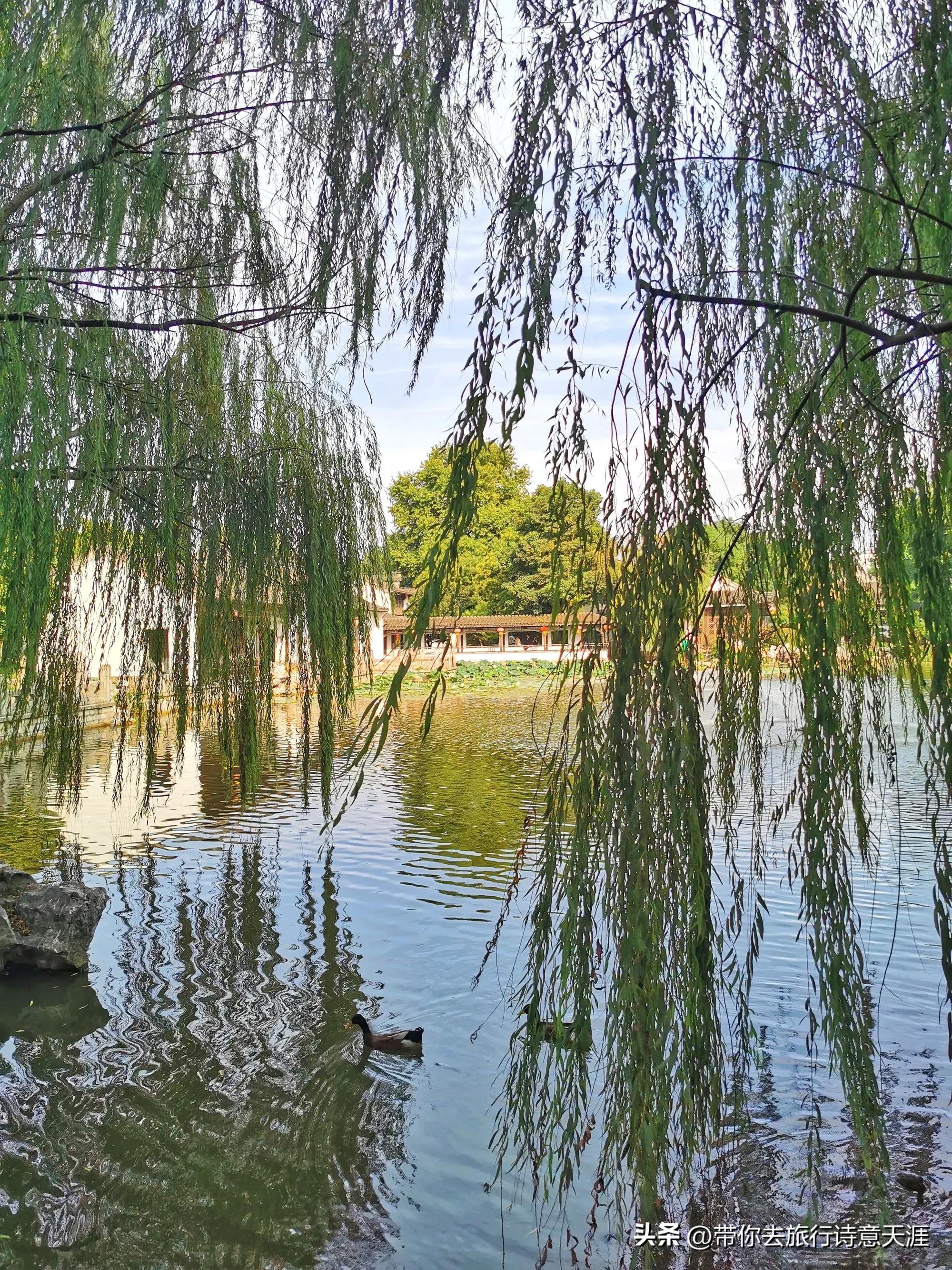 南京经典园林旅游攻略图,南京园林旅游景点大全