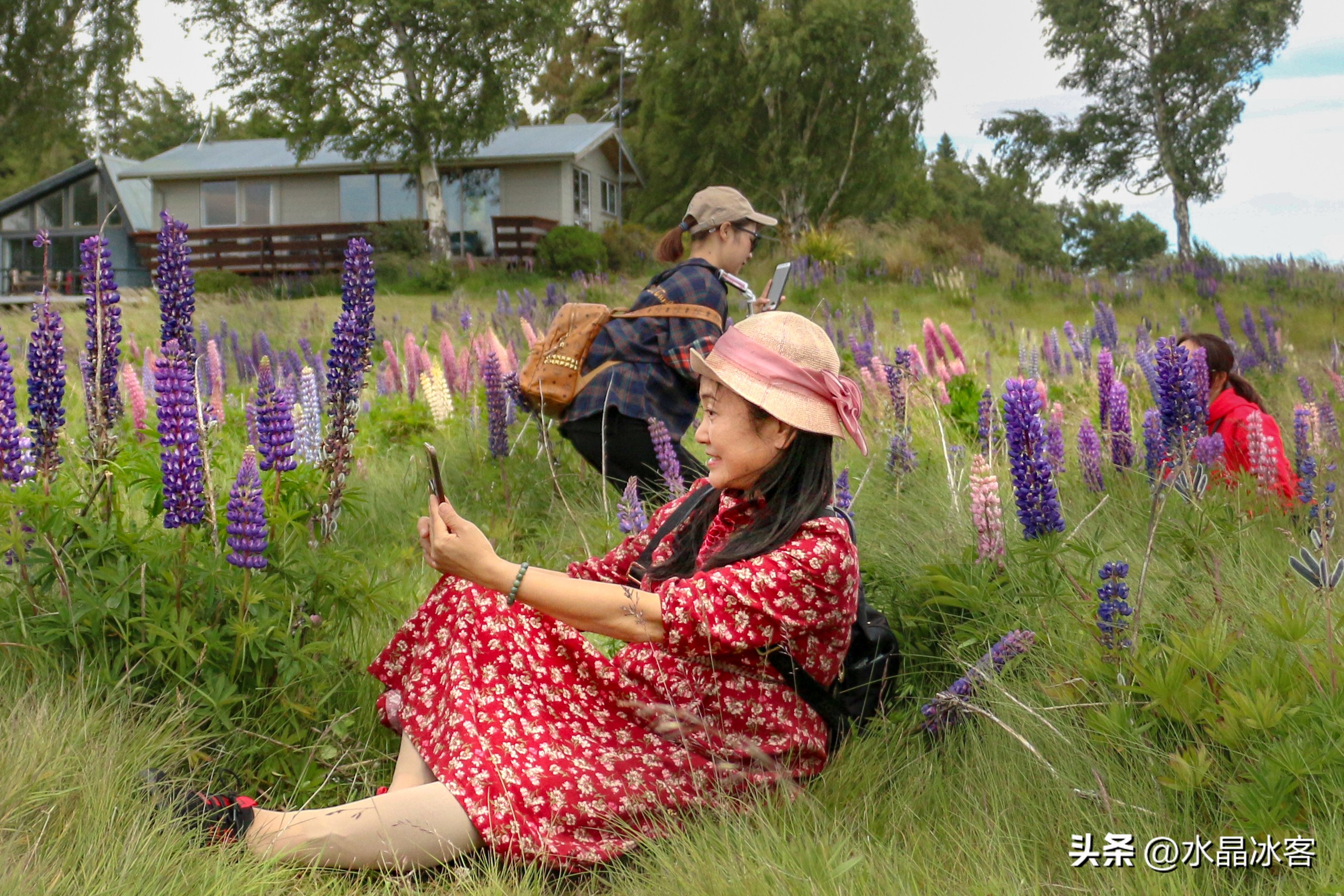 南岛新西兰之旅,新西兰之南岛