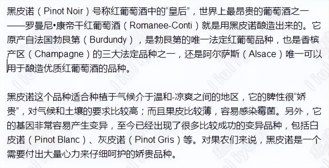 葡萄酒基础知识教程电子版,葡萄酒器具大全