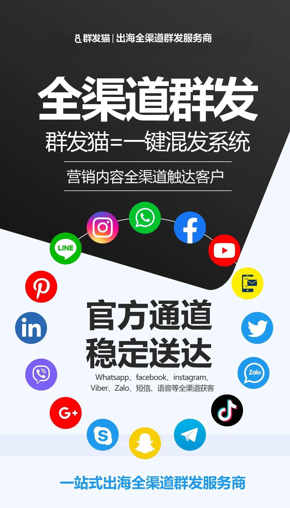 助力品牌出海，群发猫拓展外贸新市场