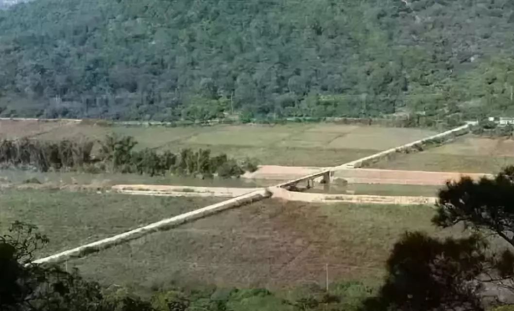 如何规划经营百亩农场才能更赚钱,共享农场模式1.9亩收入20万