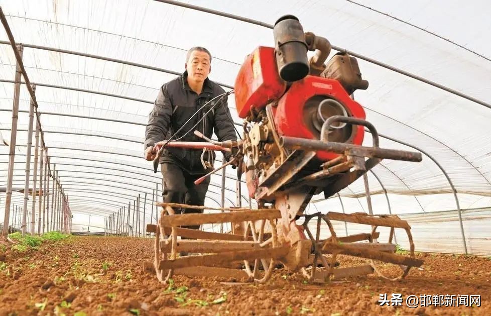 新增4处抓拍！邯郸有个“水鸟天堂”！警惕此传染病！2月12日邯郸新闻早报