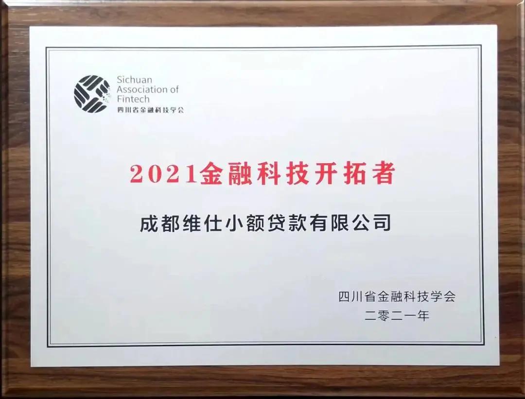 成都维仕企业管理咨询公司,成都维仕公司简介