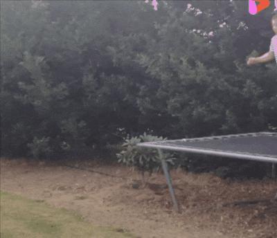 “姑娘，你知道衣服上的字是什么意思吗？”哈哈哈自信的姑娘最美