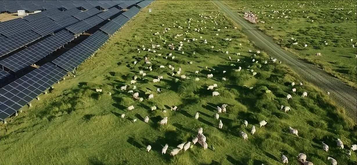 风力发电被喻为垃圾电,为什么国家还大力推广风电呢?