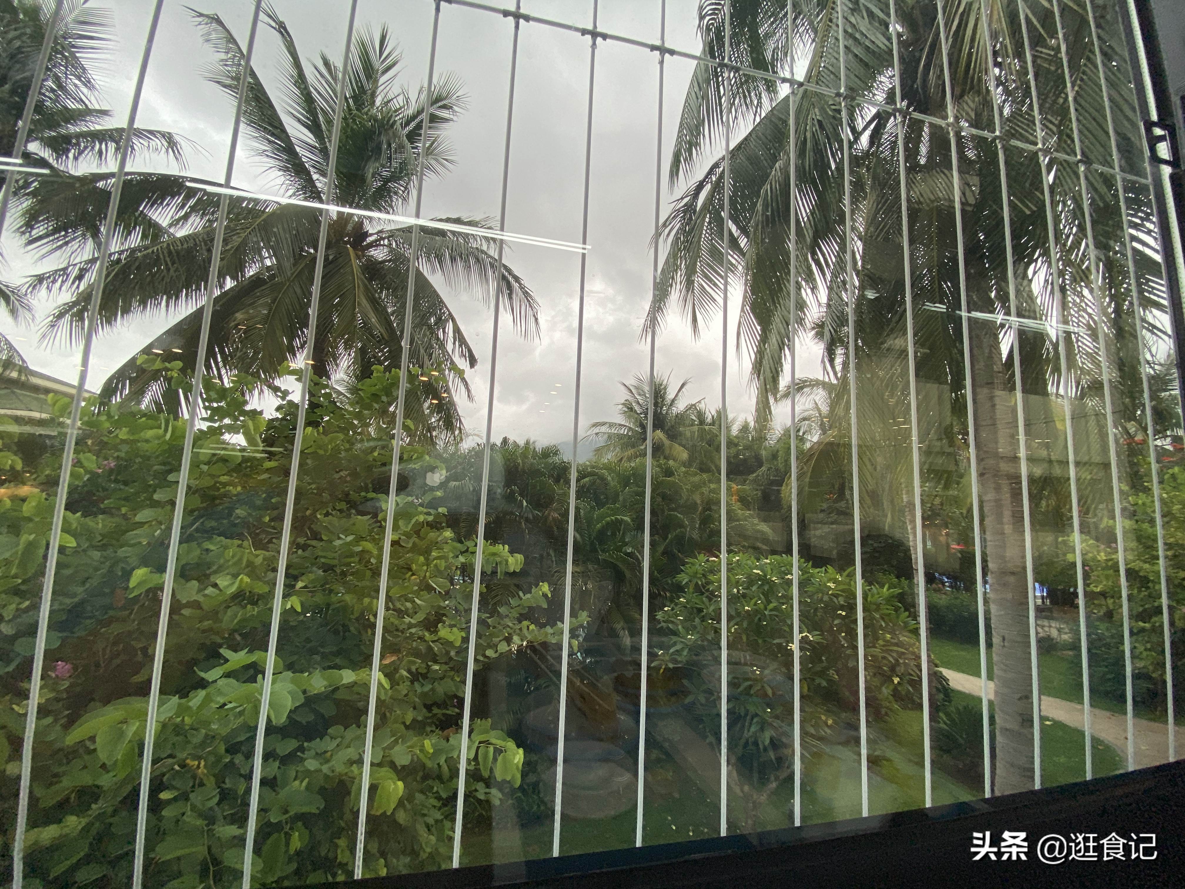 三亚亲子游亚龙湾天域酒店,亚龙湾天域和亚龙湾红树林