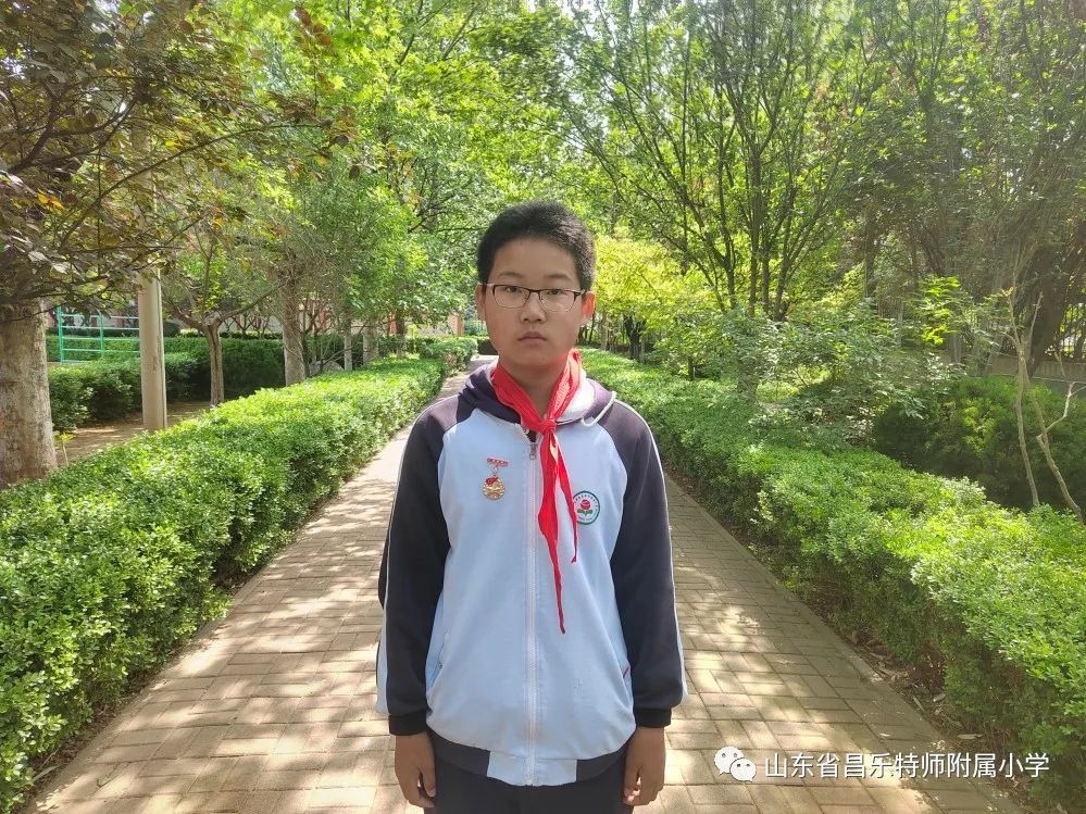 红领巾奖章三星奖章个人风采介绍,红领巾三星奖章队员事迹介绍