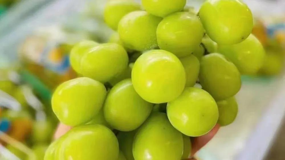 市场里面开水果店新手怎么入行,开水果店新手小白怎么采购水果