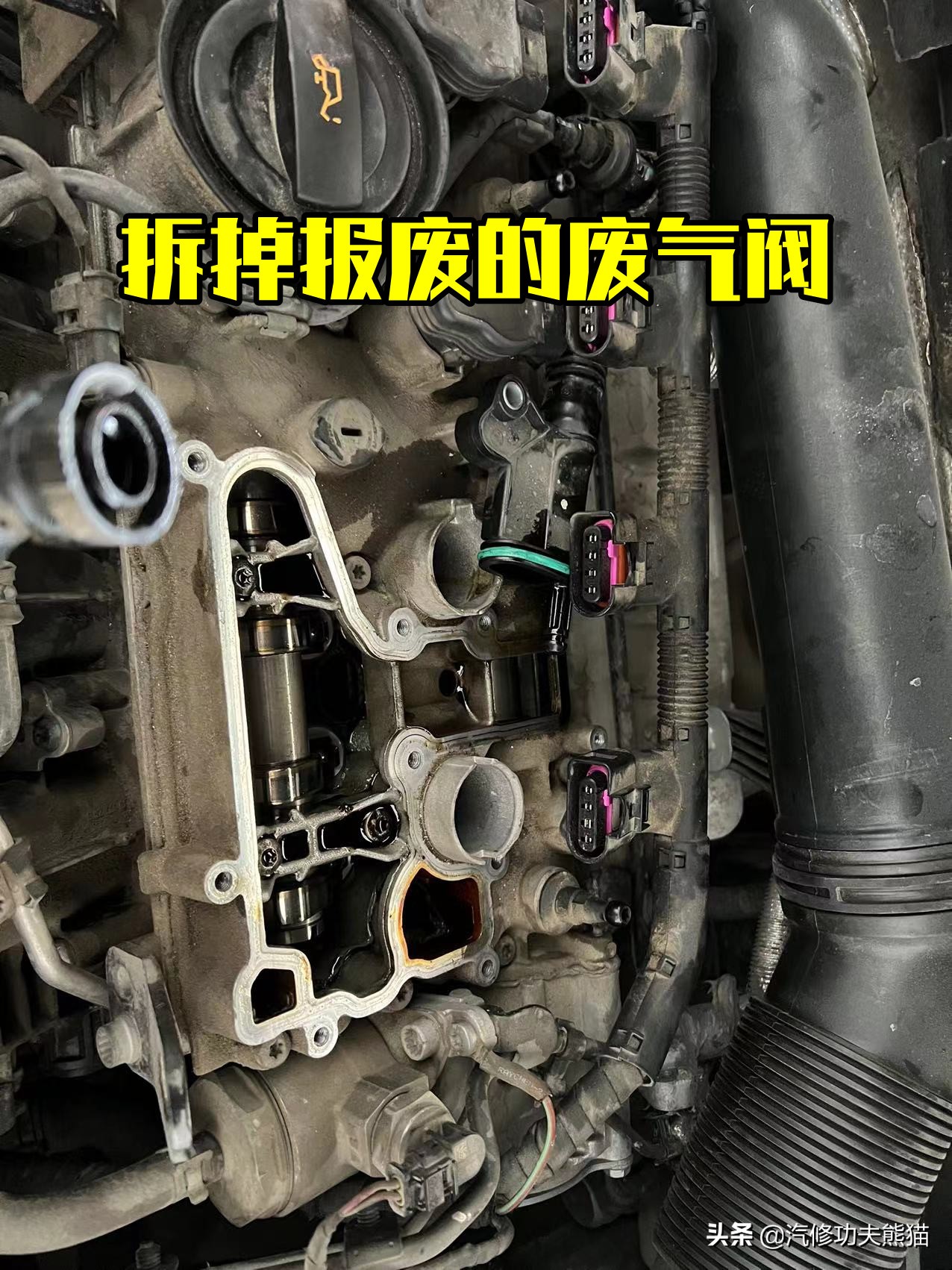 天塌了二手车,降价最狠的二手车迈腾