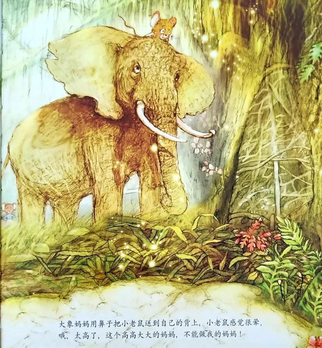 有声绘本睡前故事大全小老鼠,儿童睡前故事毛毛虫变蝴蝶的故事