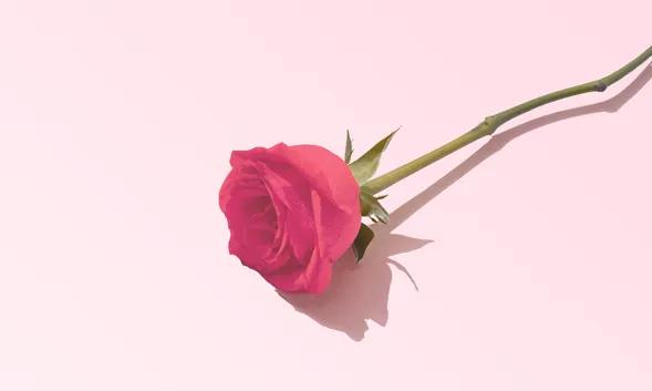 表白文案520字,520活动文案怎么写吸引人