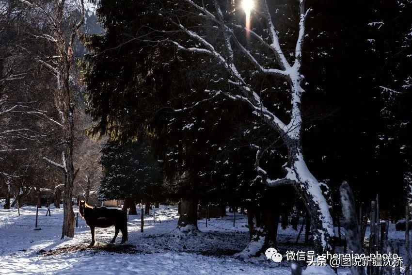 探寻琼库什台,琼库什台冬日河水
