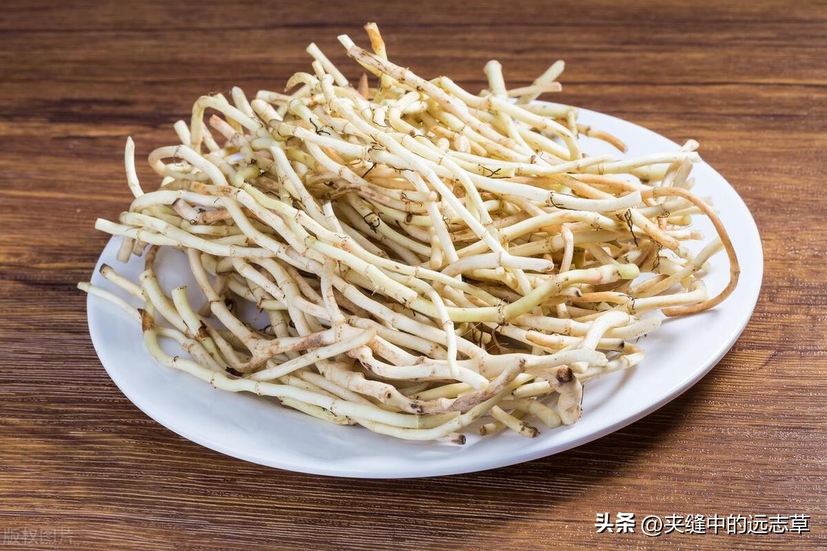 二阳咳嗽咳痰吃什么中成药,白痰和黄痰是火还是寒如何治疗