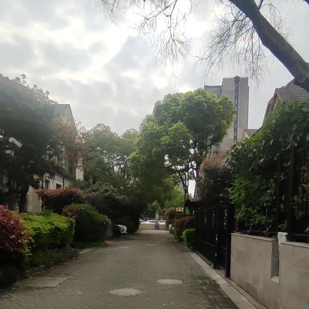 为什么现在的人都要买那么多房子,真的会有人专门买房放骨灰盒吗