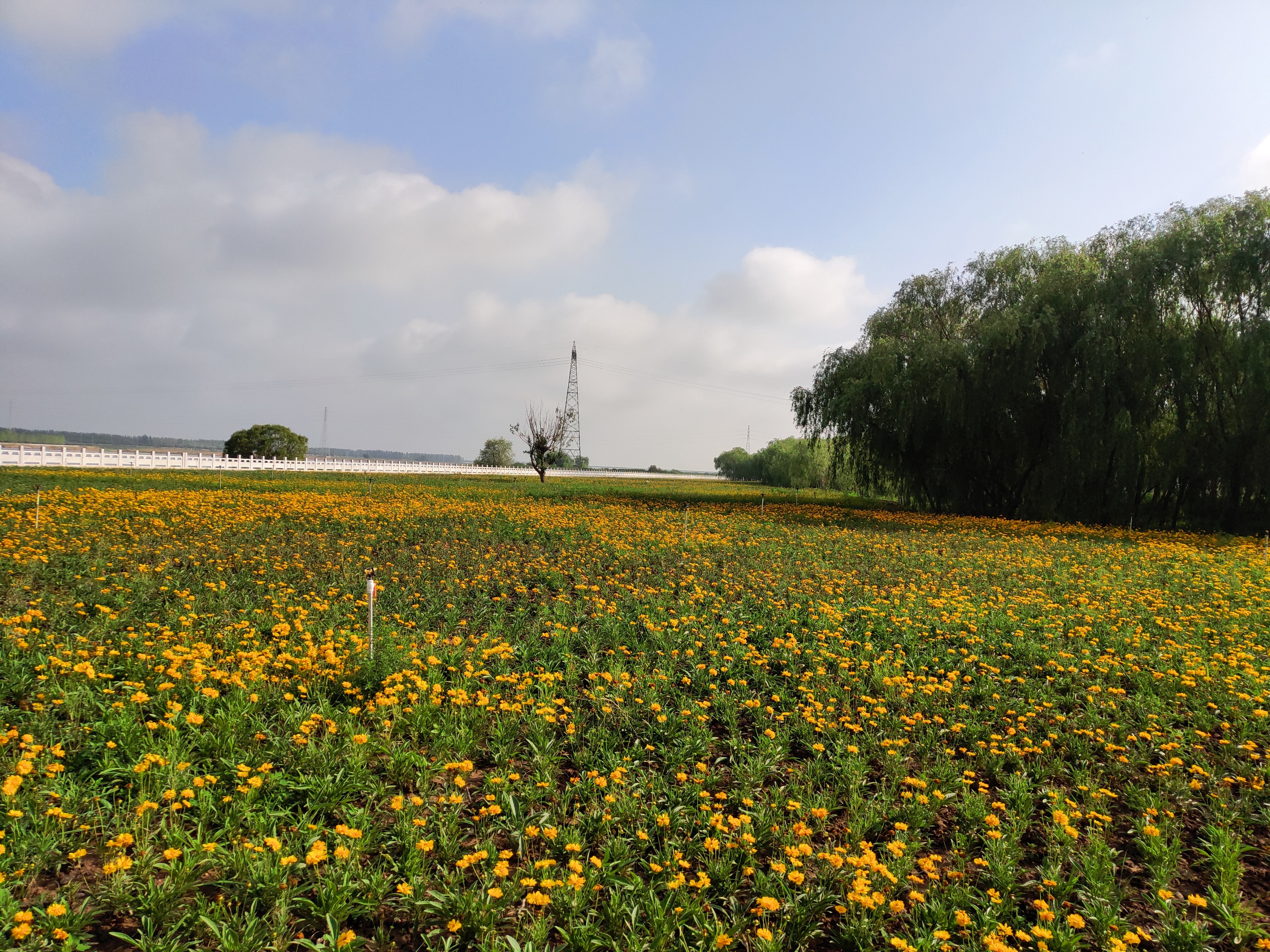 后疫情时代创新创业的趋势,一个疫情下的新创业行业