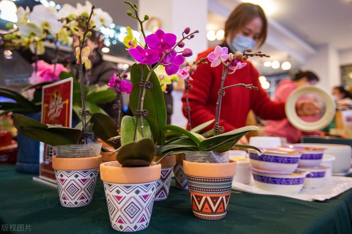 千万别学金融专业,千万不要学金融工程