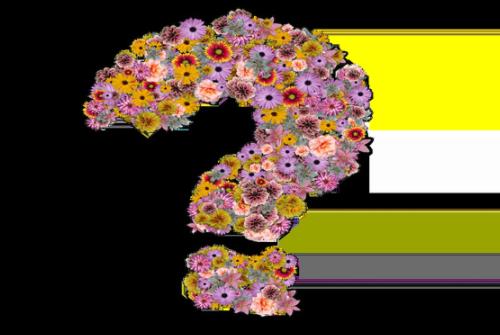 拼多多客服外包公司哪家做的最好,拼多多客服外包靠谱么