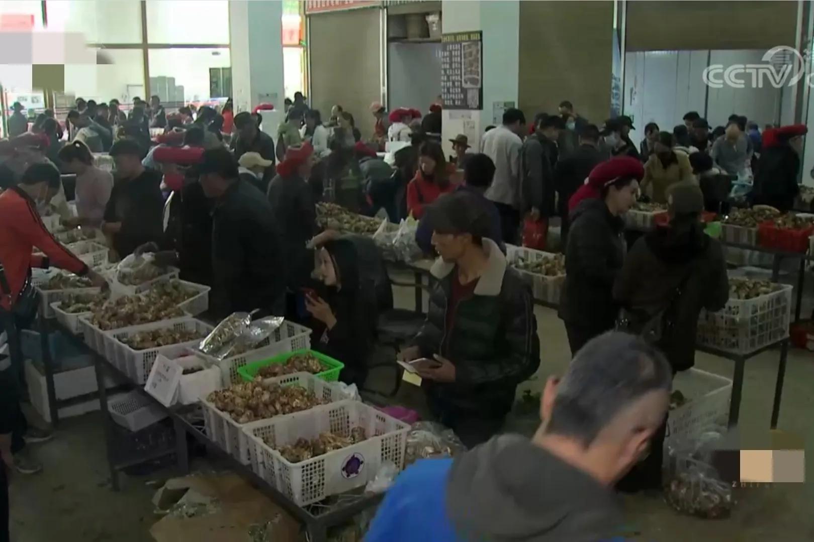 看云南男子如何玩转山货,成功带领1000位农民致富,销售额2000万