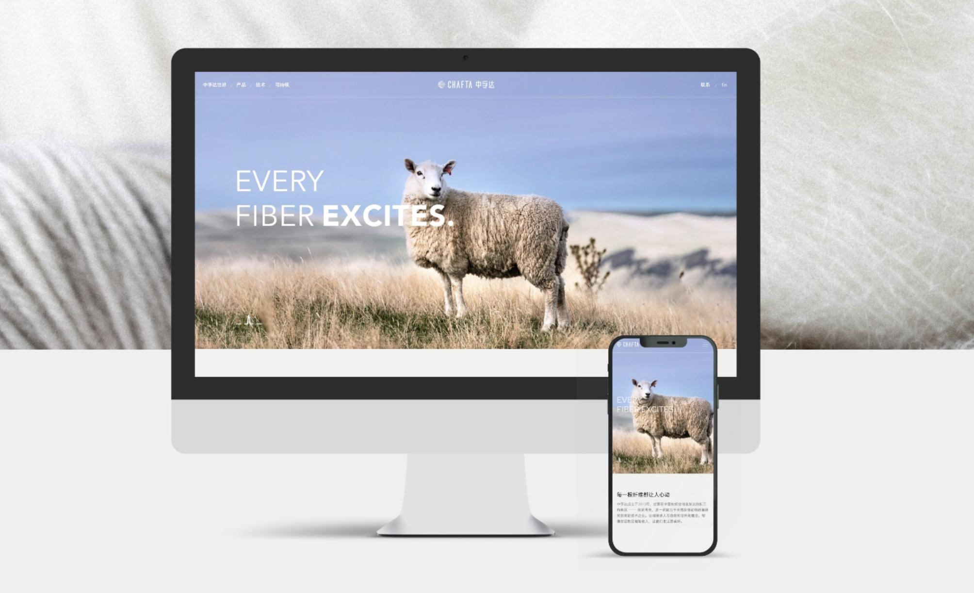 全球十大网络设备公司,全球十大网站排名