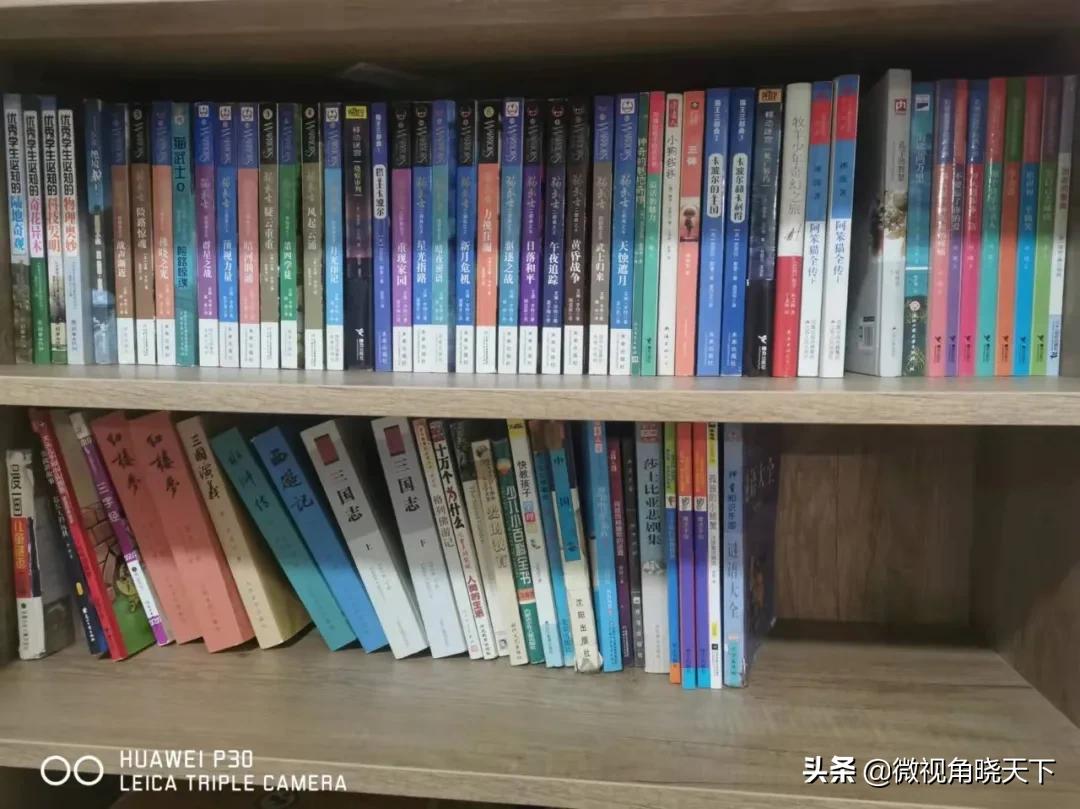 羊山外国语小学杨贵勤,信阳市羊山外国语小学杨贵勤