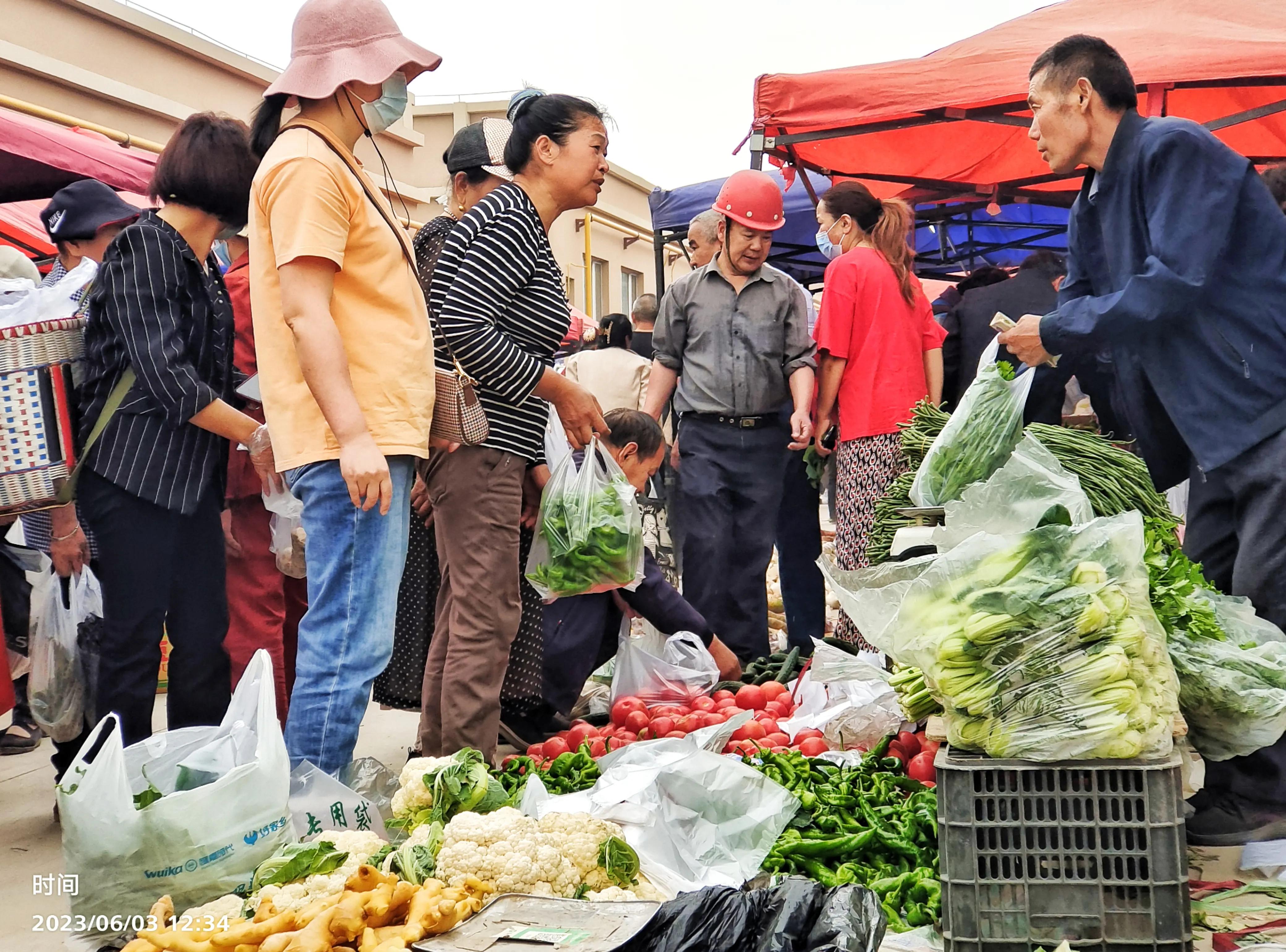 新疆畜牧养殖新模式,新疆南疆牧民暖棚种草喂羊致富