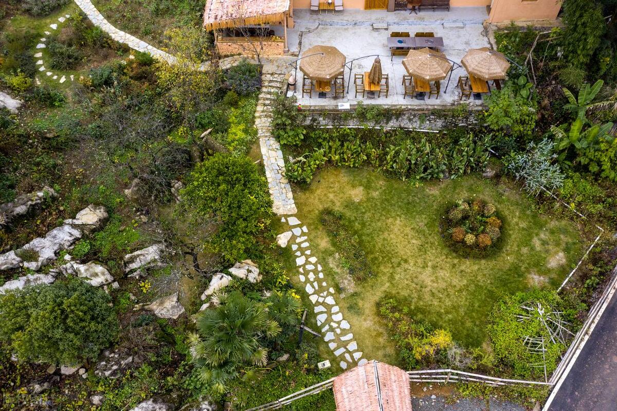 当代年轻人返乡创业做什么,什么是新农人大学生返乡创业