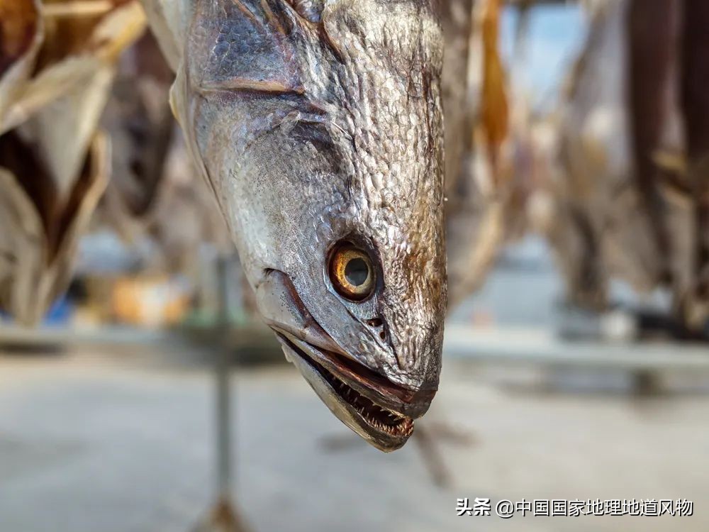 咸鱼最火地图,闲鱼攻略图