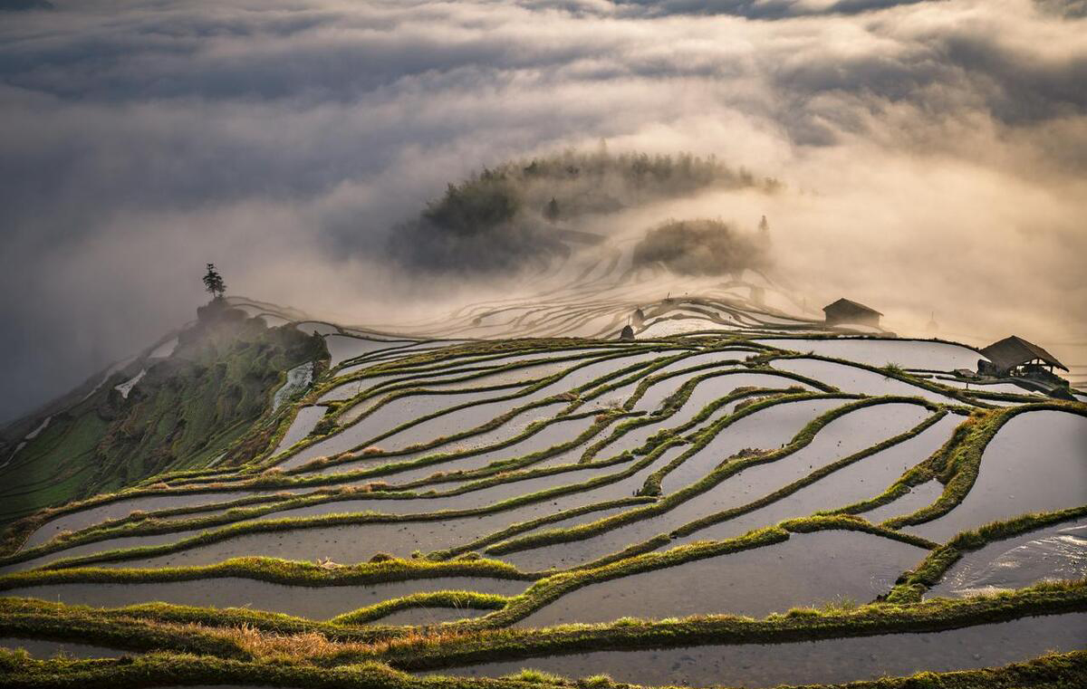 中国长发村女人剪长发视频,吉尼斯纪录长发女孩
