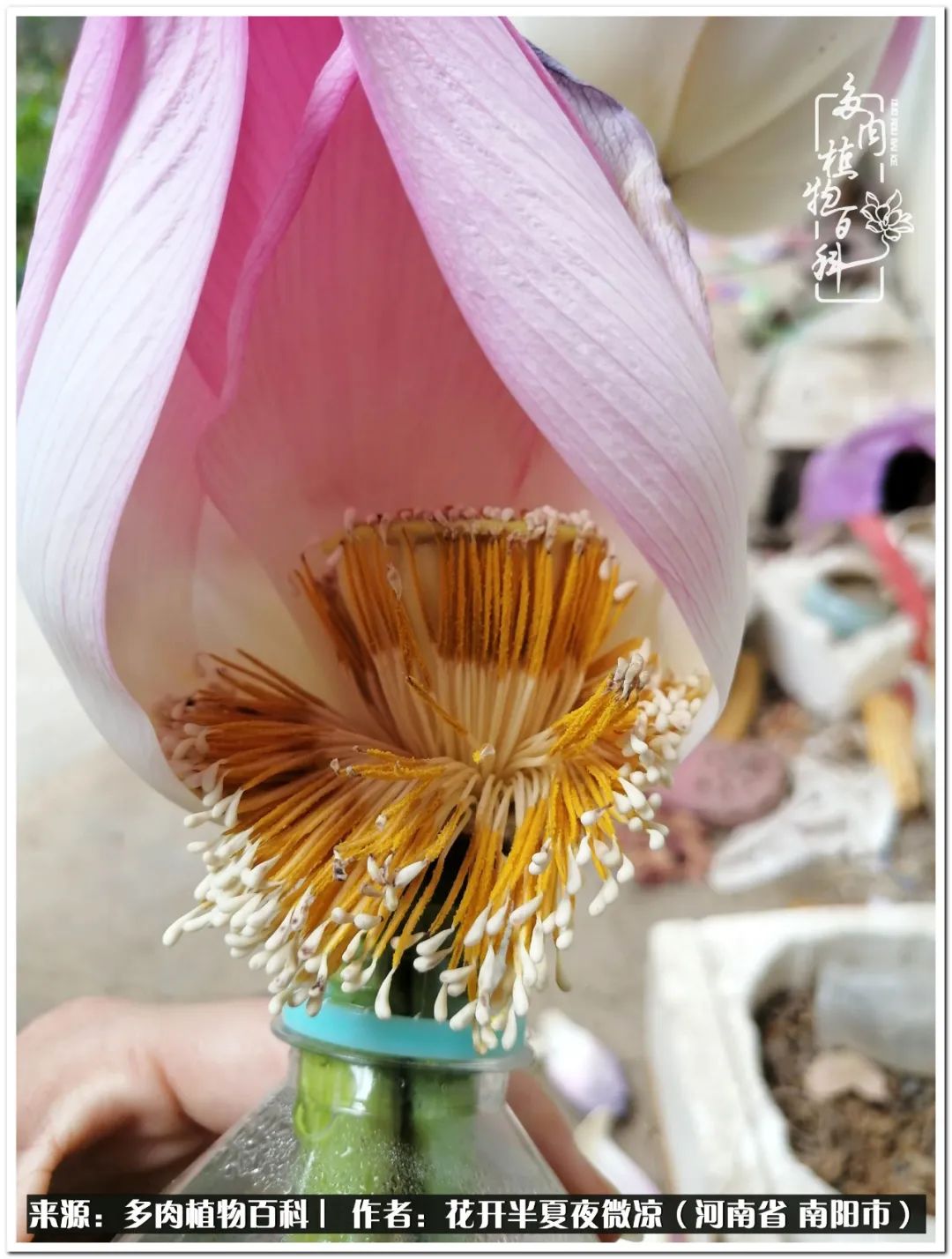 万事开头难只要坚持才有收获,万事开头难只要肯干就会有结果