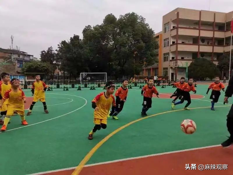 巴中市实验小学向风而行始于足下