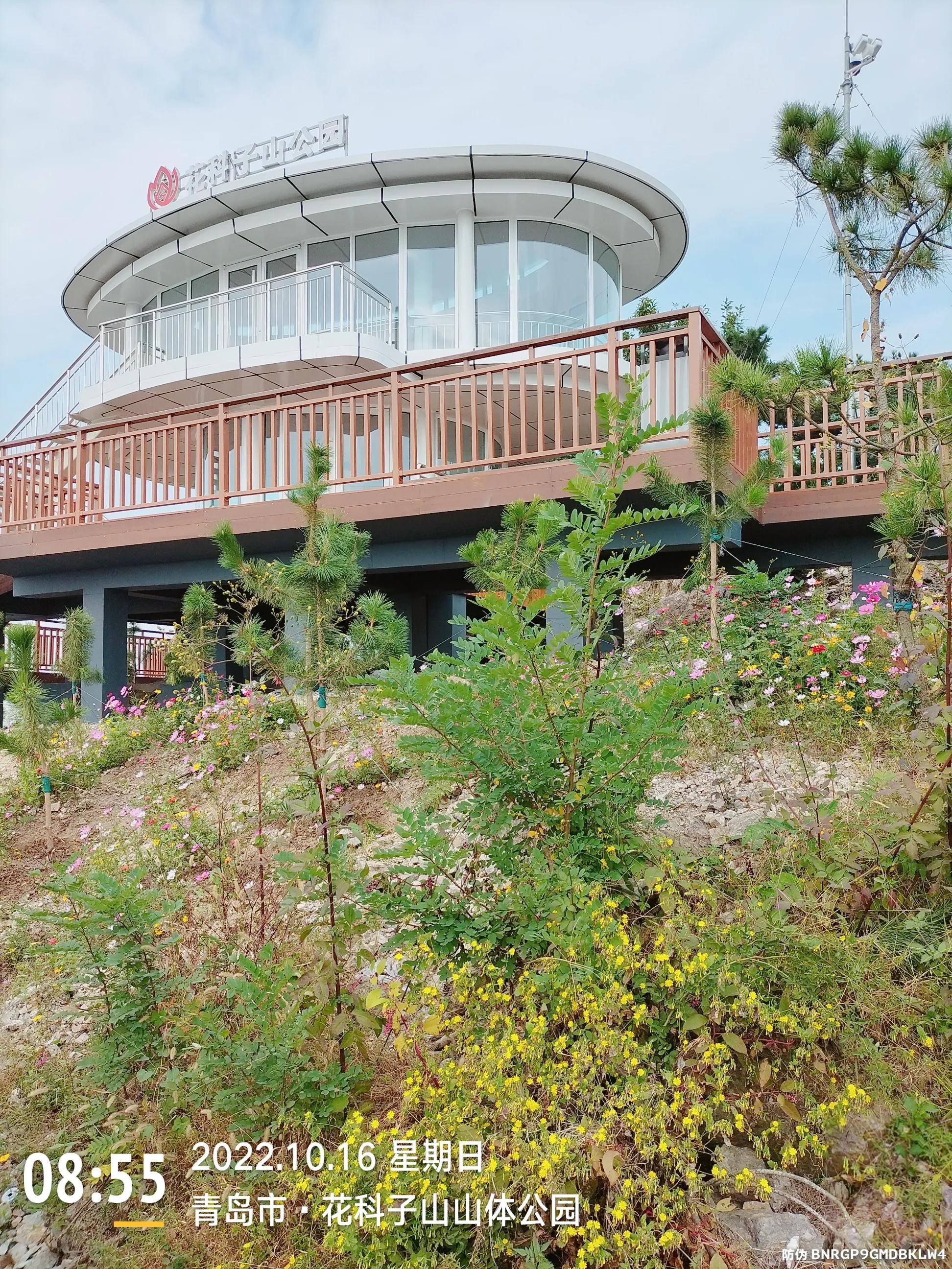 青岛西海岸赏花攻略,青岛海滨风景区一日游攻略