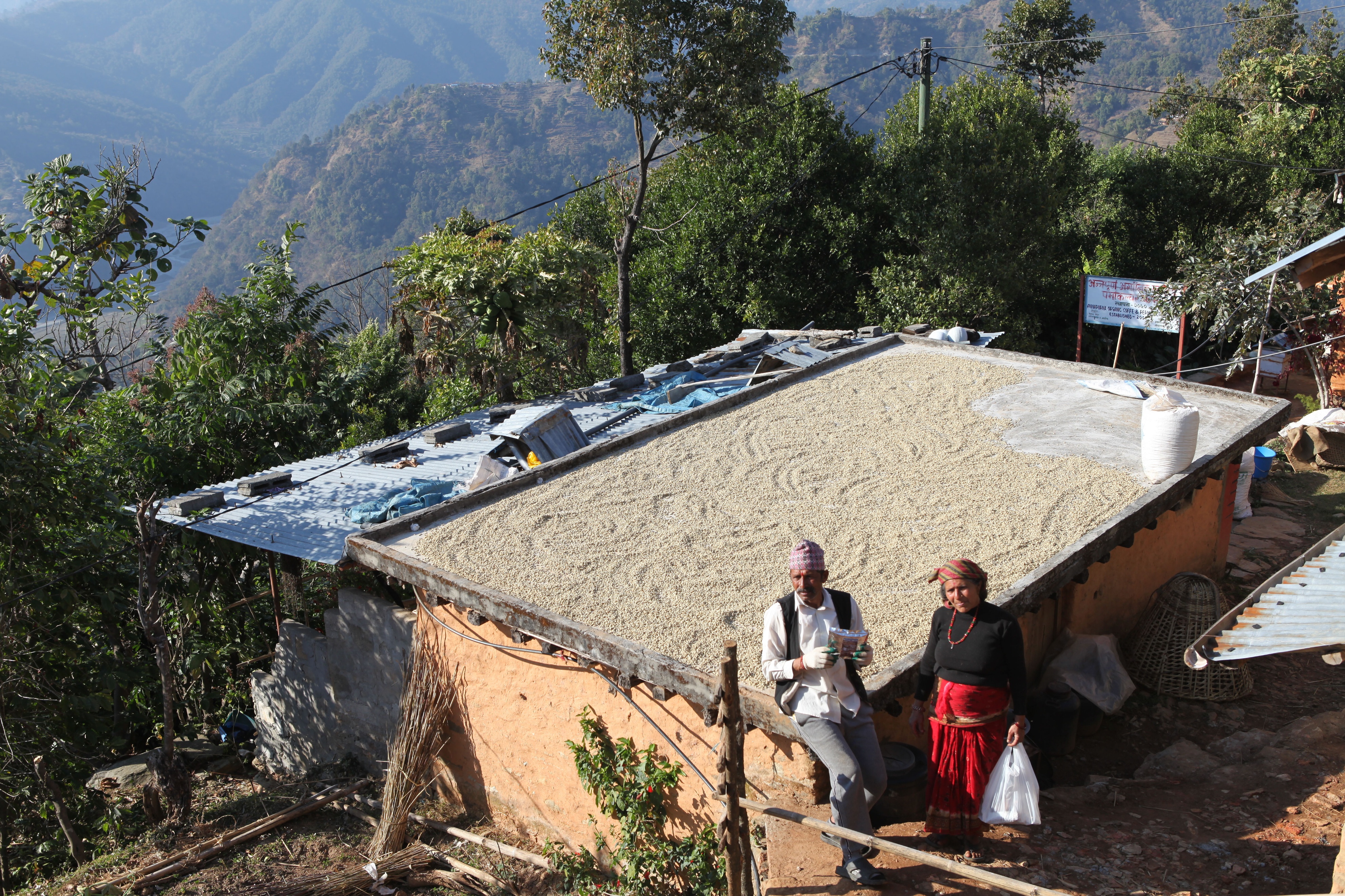 “高山王国之旅”之四—金佛的召唤