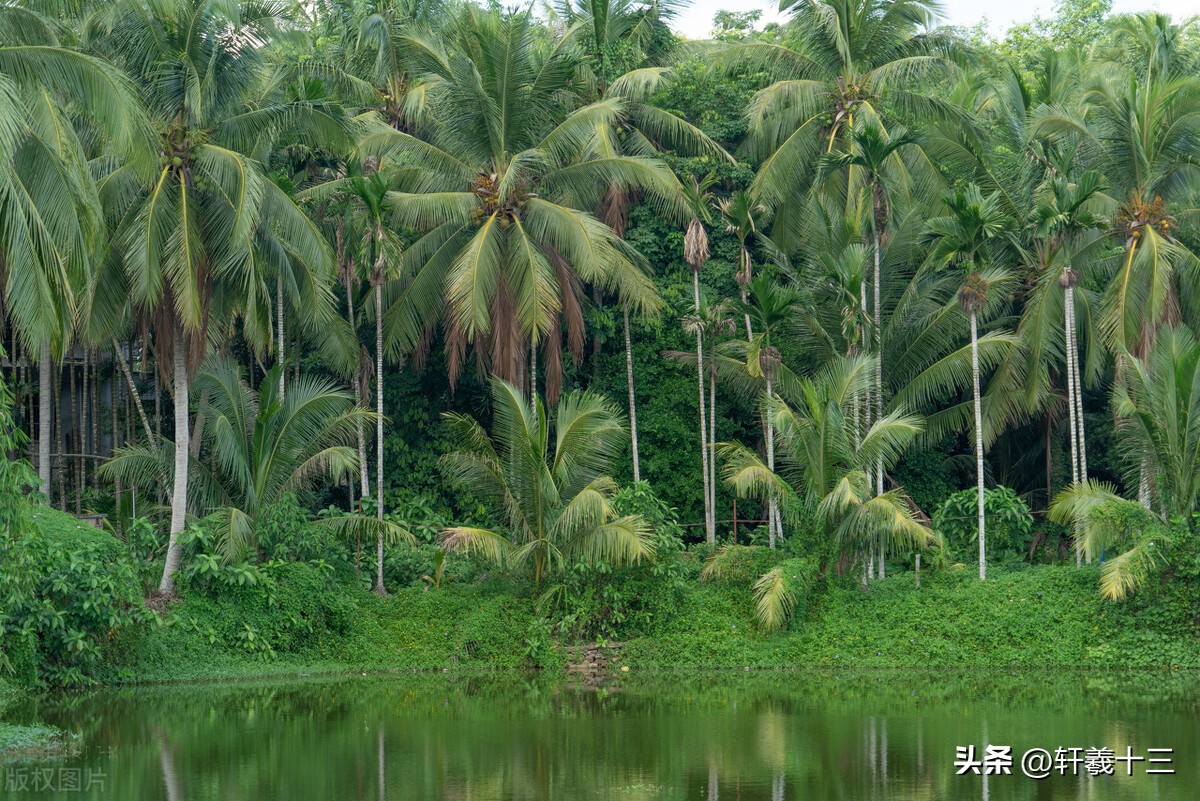 2001年，“报恩”蟒蛇缠住行窃的小偷，主人对蛇喊到阿财你回来了