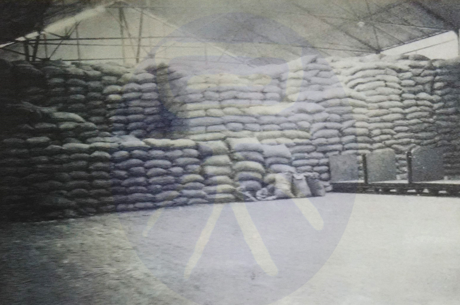 中国制糖业历史,上一世纪五十年代广东十大糖厂