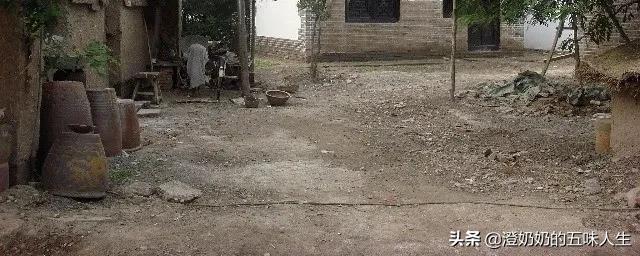 天津宁河七里海现在有什么玩的,宁河七里海五一