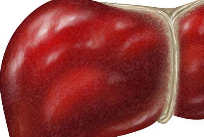 肝囊肿如何护肝养肝,肝经淤堵脂肪肝