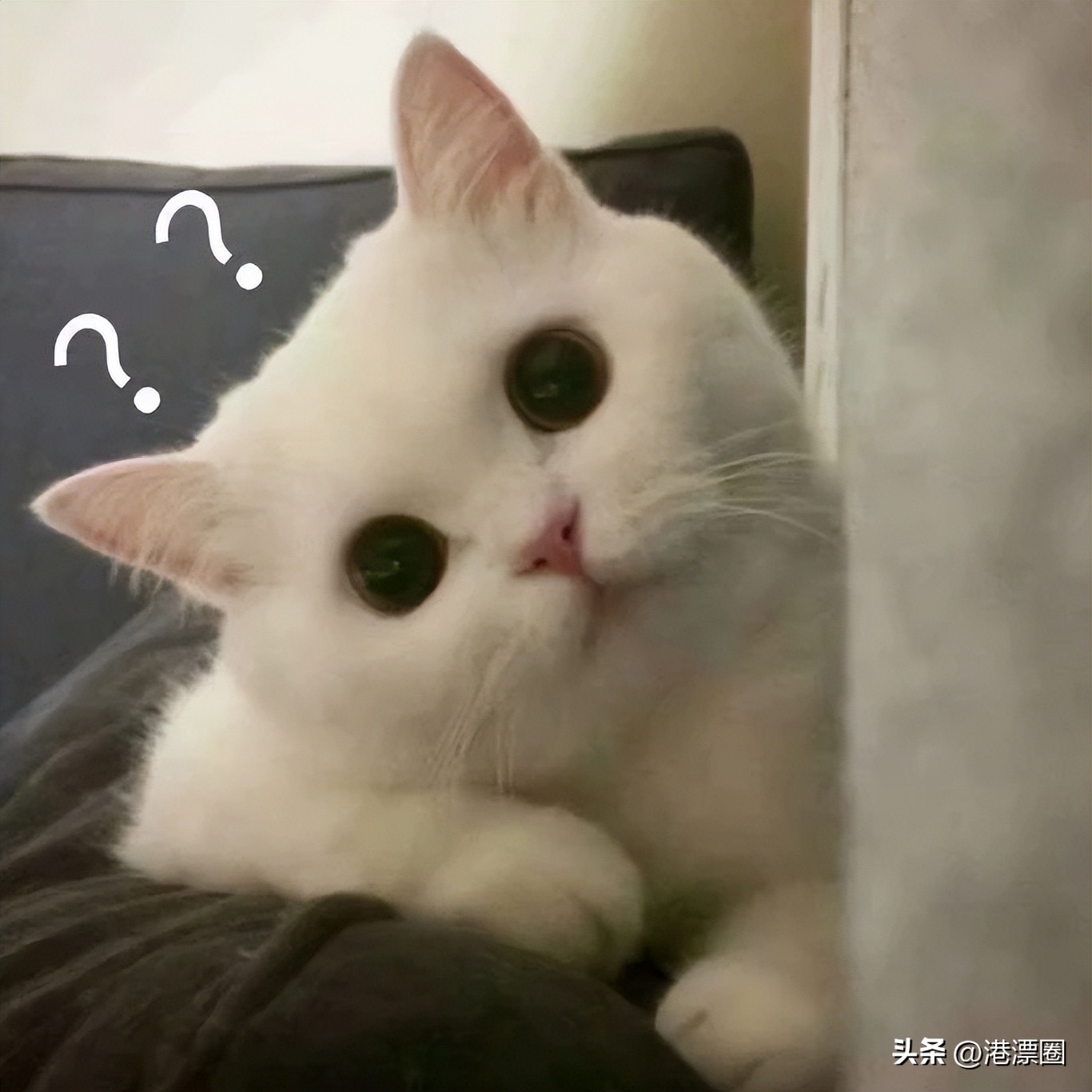 澳门和内地通关了吗,澳门与内地恢复正常通关日期