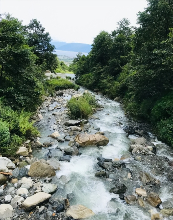 蛟龙真的存在吗,真的有蛟龙这种生物吗