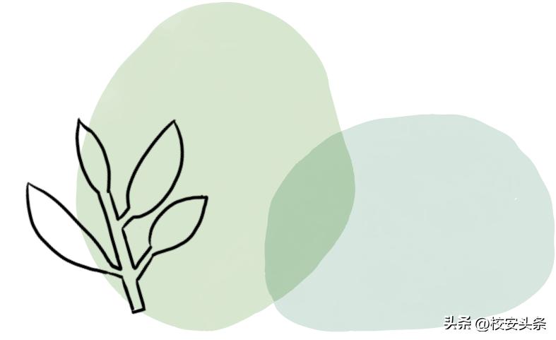 羲墨分享‖孙其华：一年来，“双减”改变着义务教育的哪些方面？