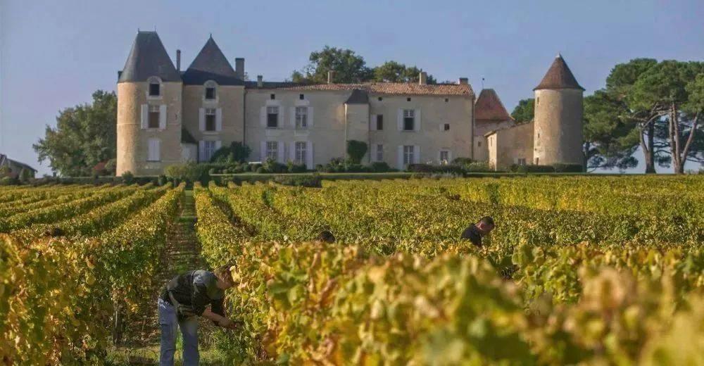 详解五大著名的葡萄酒产区,十大最好的葡萄酒产区