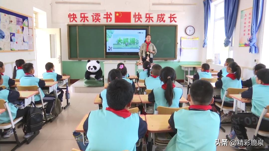 鹿泉：爱护动物共建生态家园