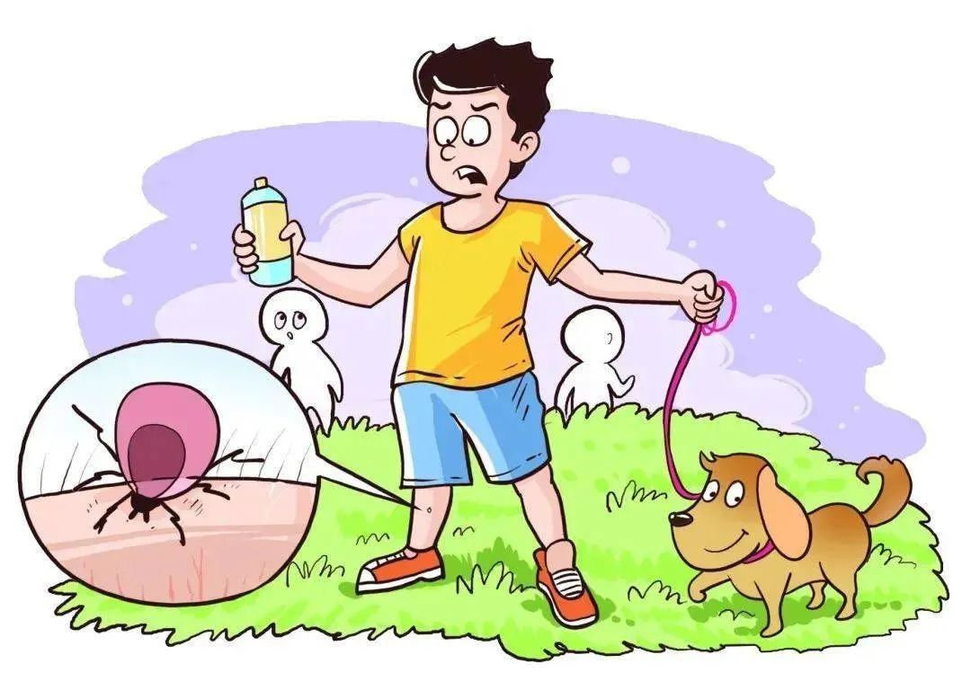 天气变得炎热是传染病的高发季,夏季肠道传染病高发这6点要记住