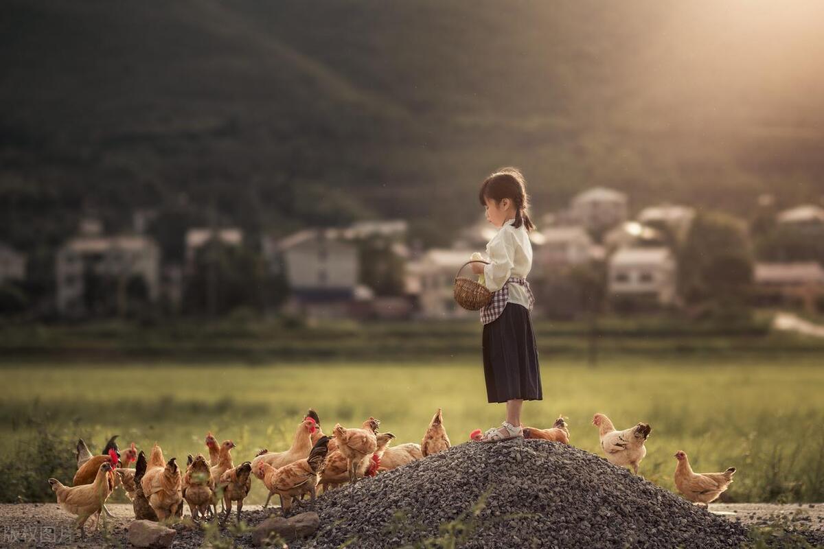 爱上了心理医生,爱上自己的心理咨询师