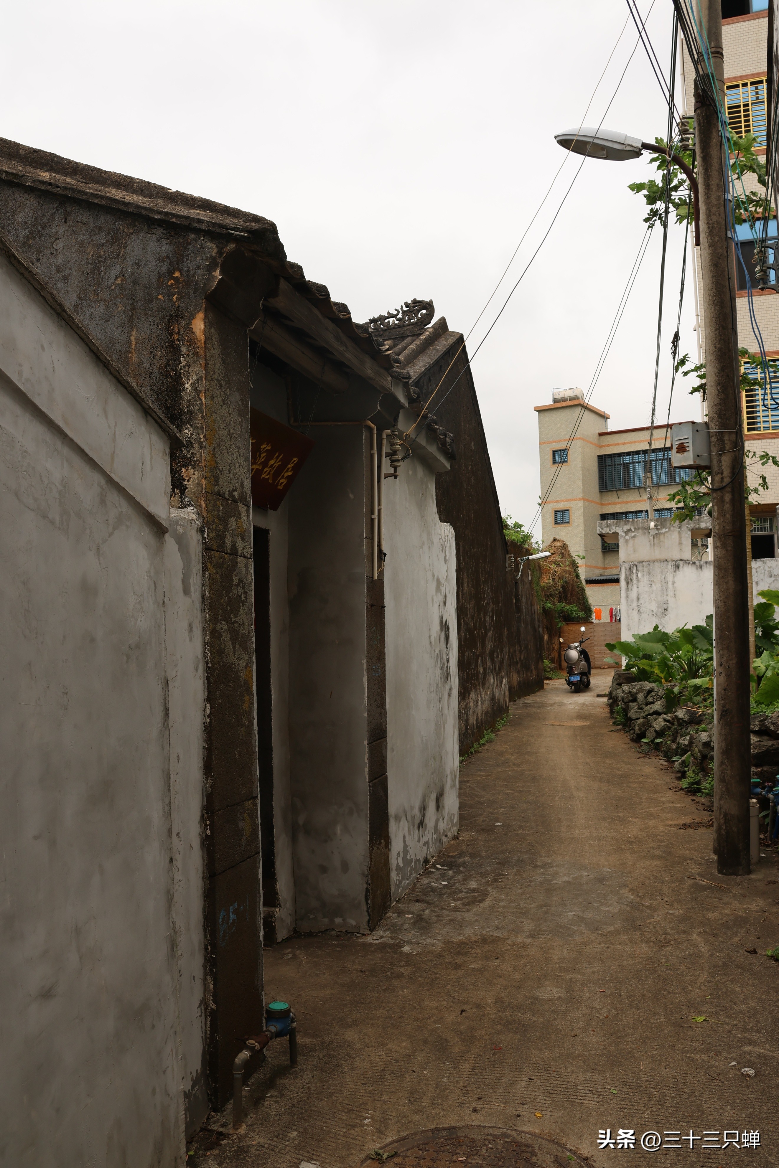 海口王氏宗祠在哪里,海口长流堂善村的人