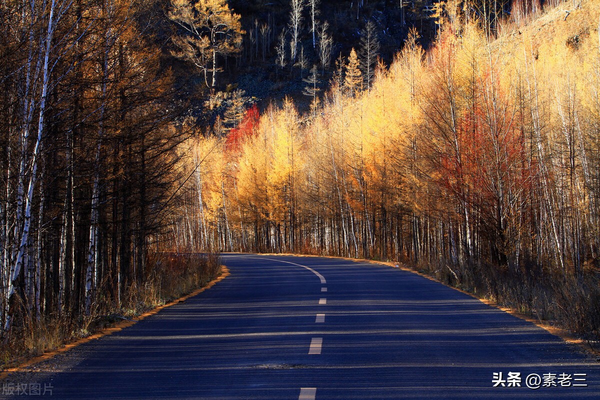 女作家去做保姆651,女作家去做保姆剧情