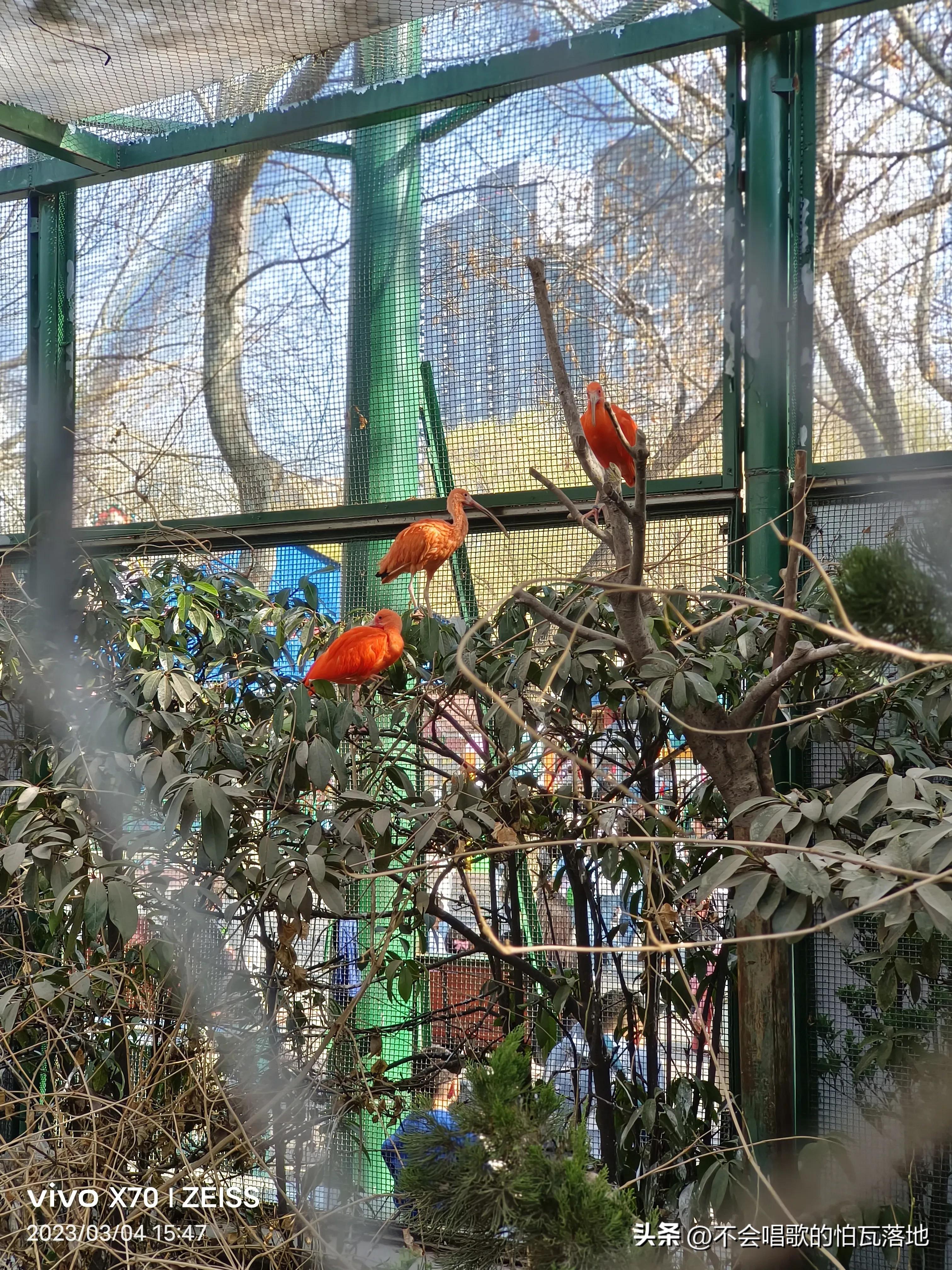 郑州动物园介绍一日游,郑州市动物园正常游览时间