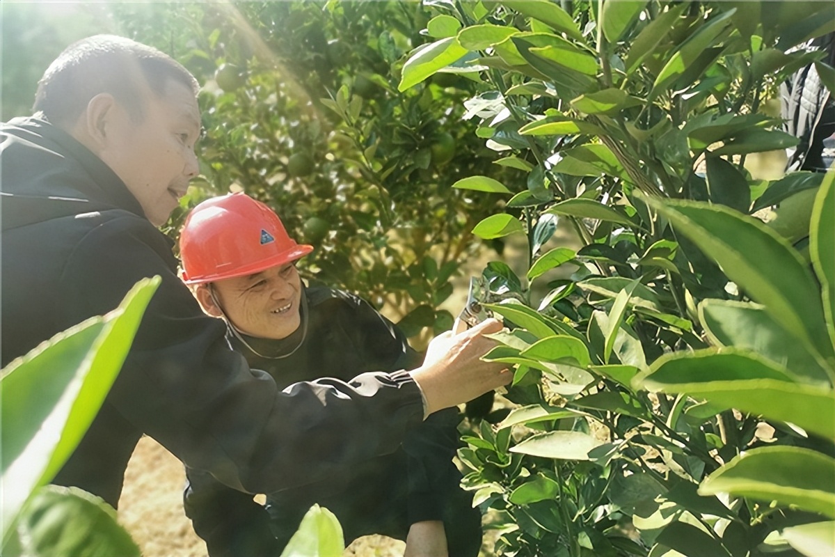 支部战斗堡垒作用为群众办实事,建设退役军人党建阵地