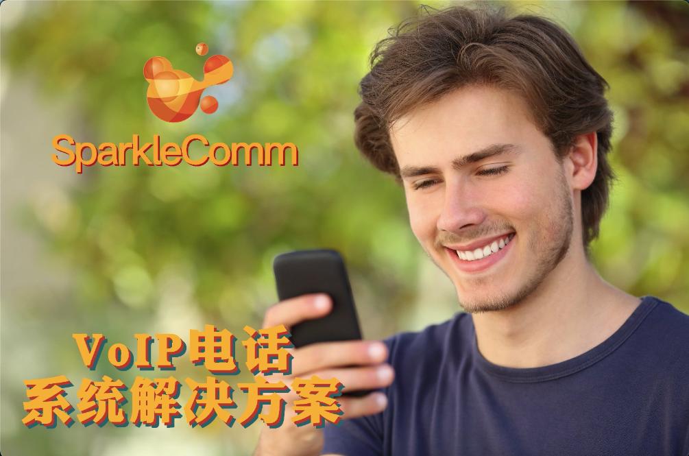 voip通话是什么意思,什么是通话版苹果